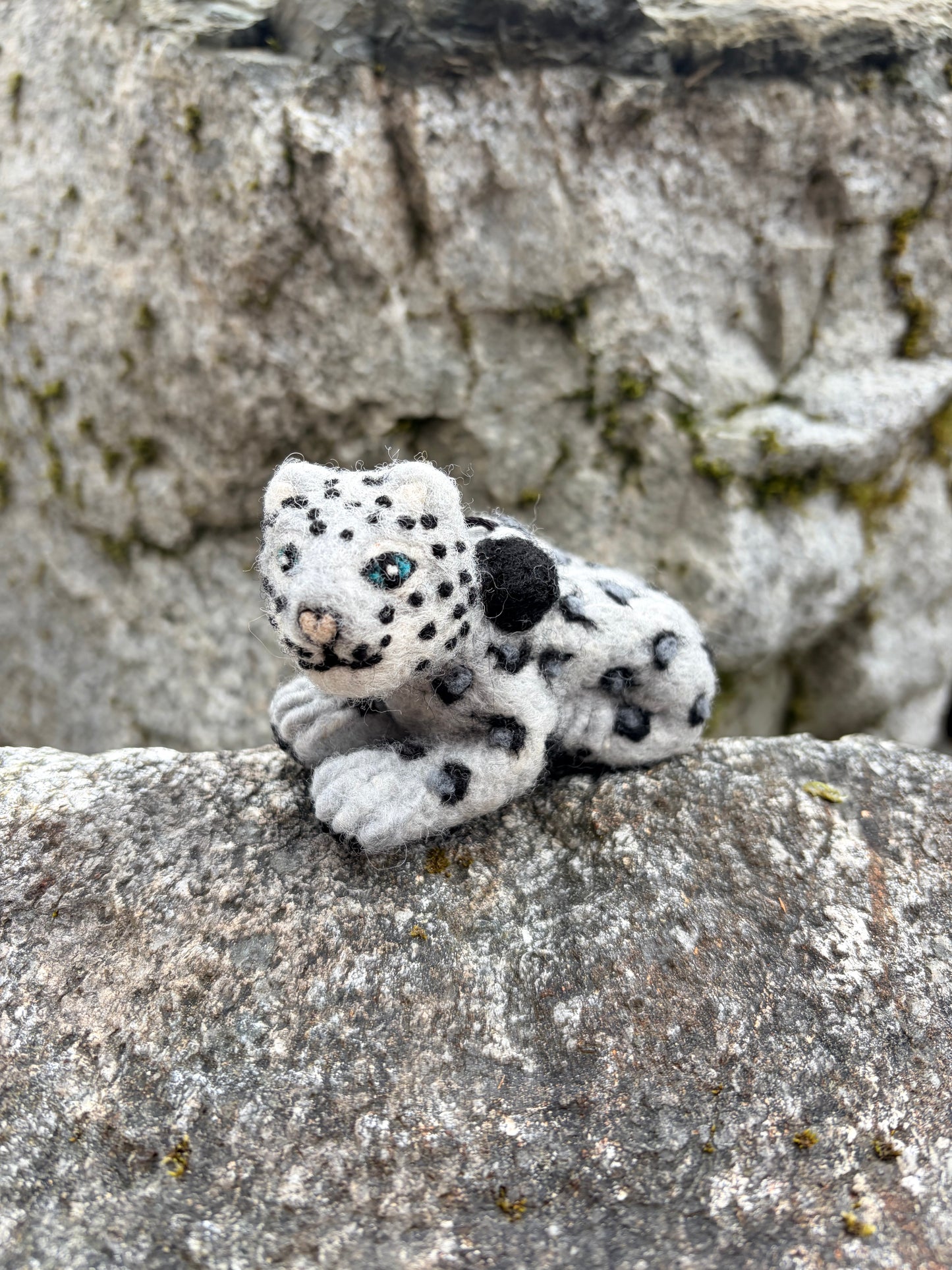 Snow Leopard