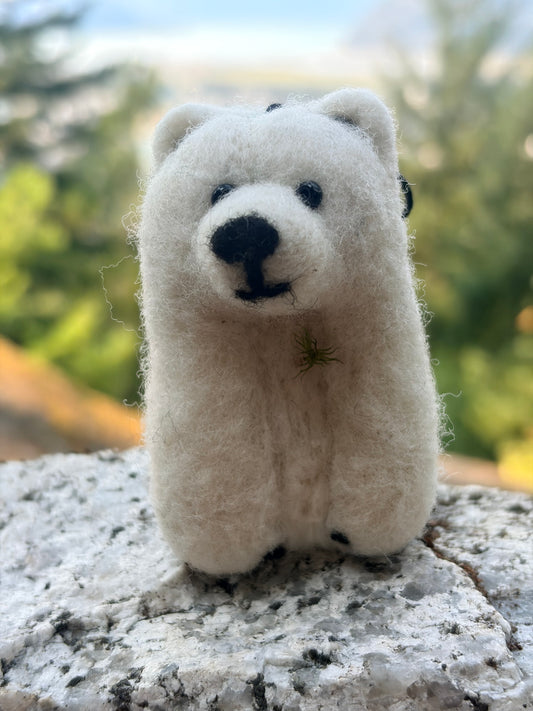 Polar Bear