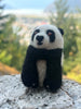 Panda Bear