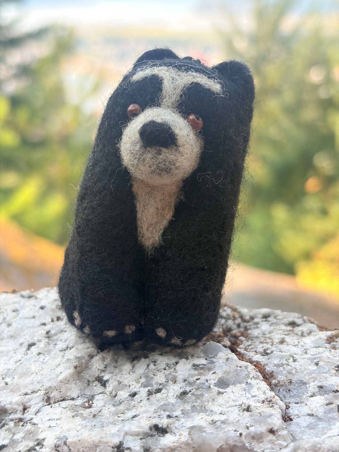 Spectacled Bear