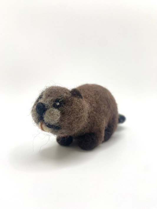 Beaver