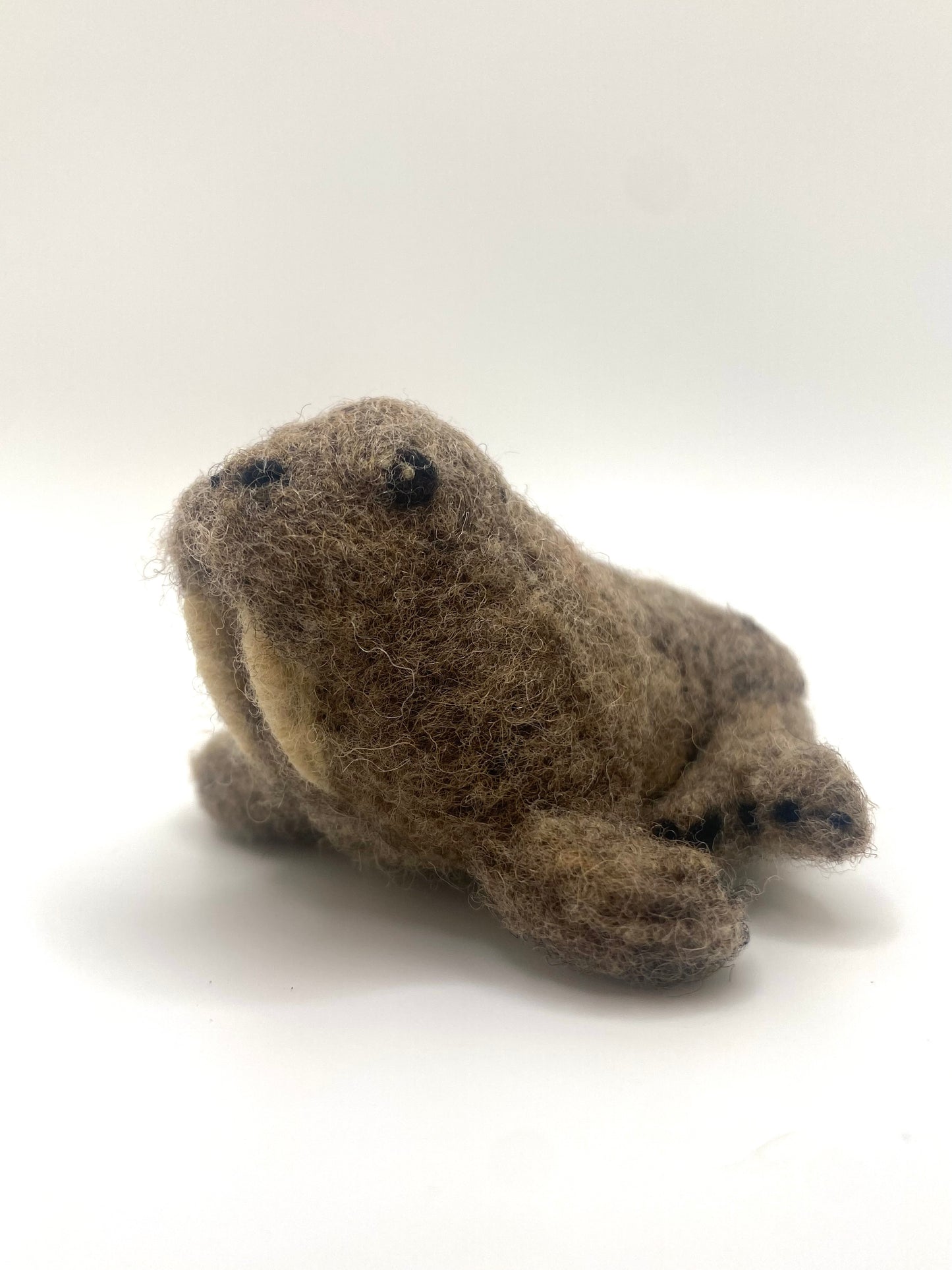 Walrus