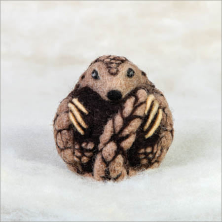 Pangolin