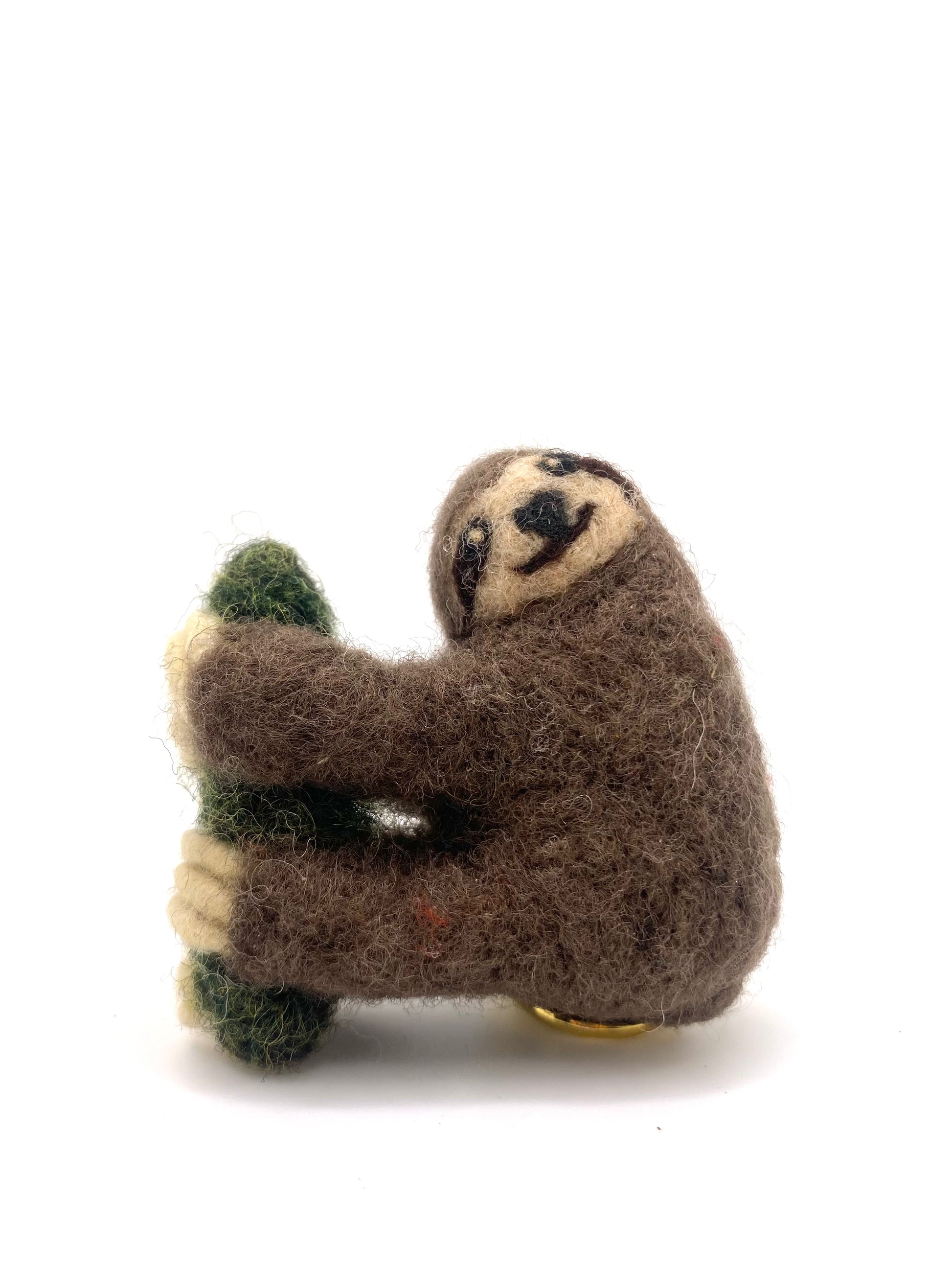 Spectacled Sloth Sloth – Spectacled Bear Conservation