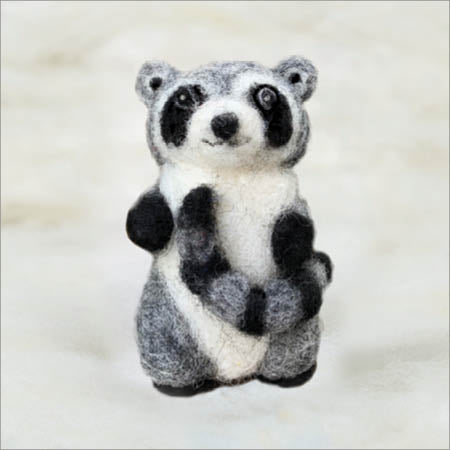 Raccoon