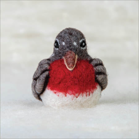 Robin Bird