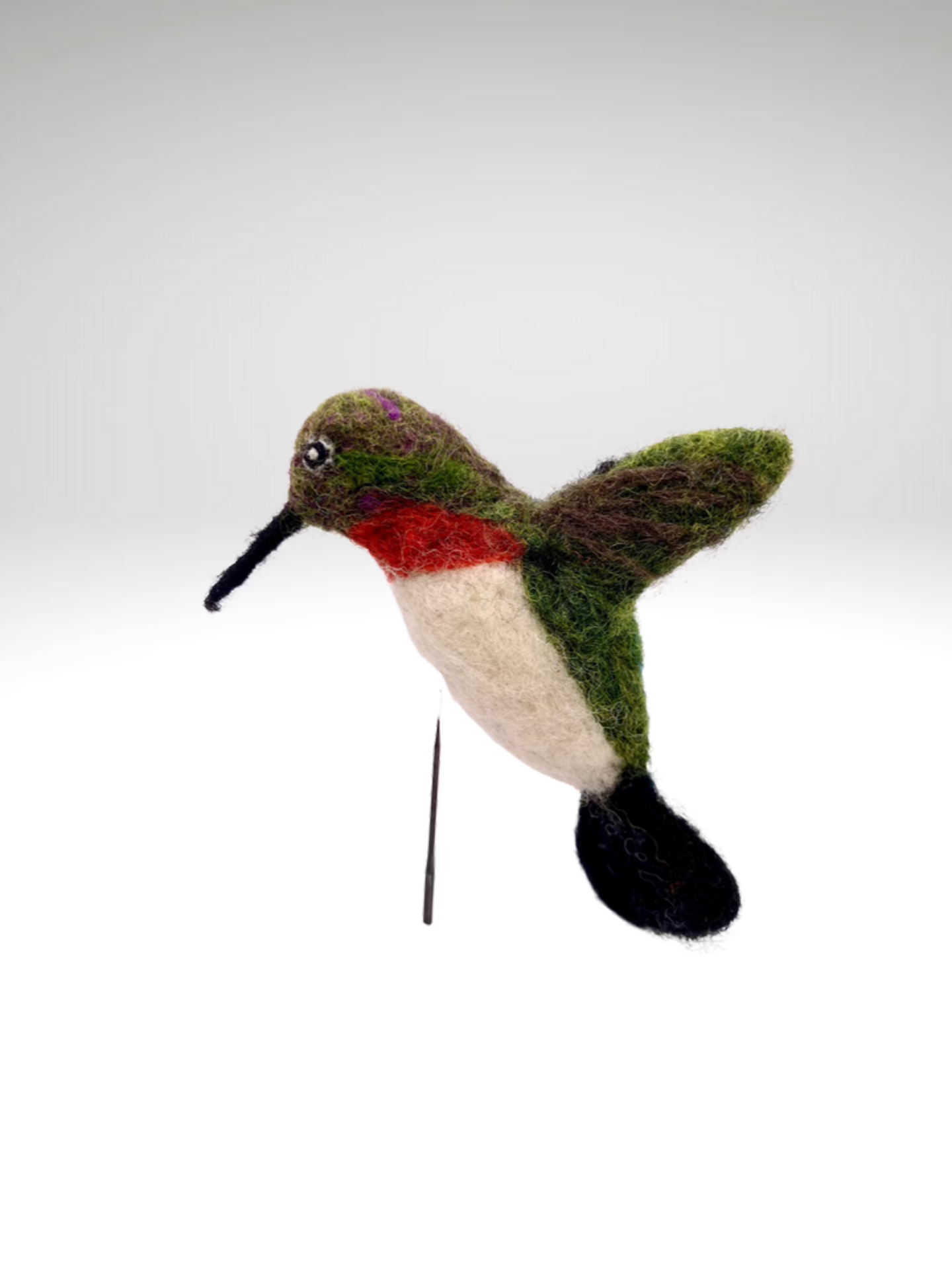 Hummingbird, Ruby