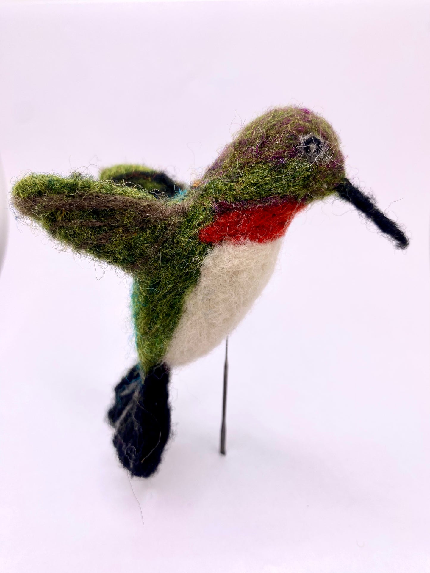 Hummingbird, Ruby