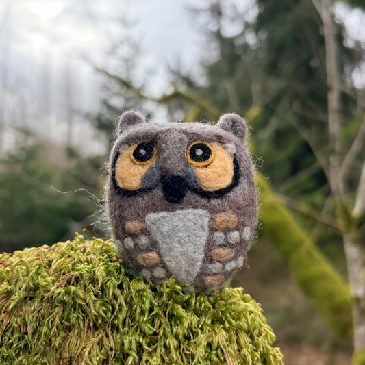 Owl, Horned