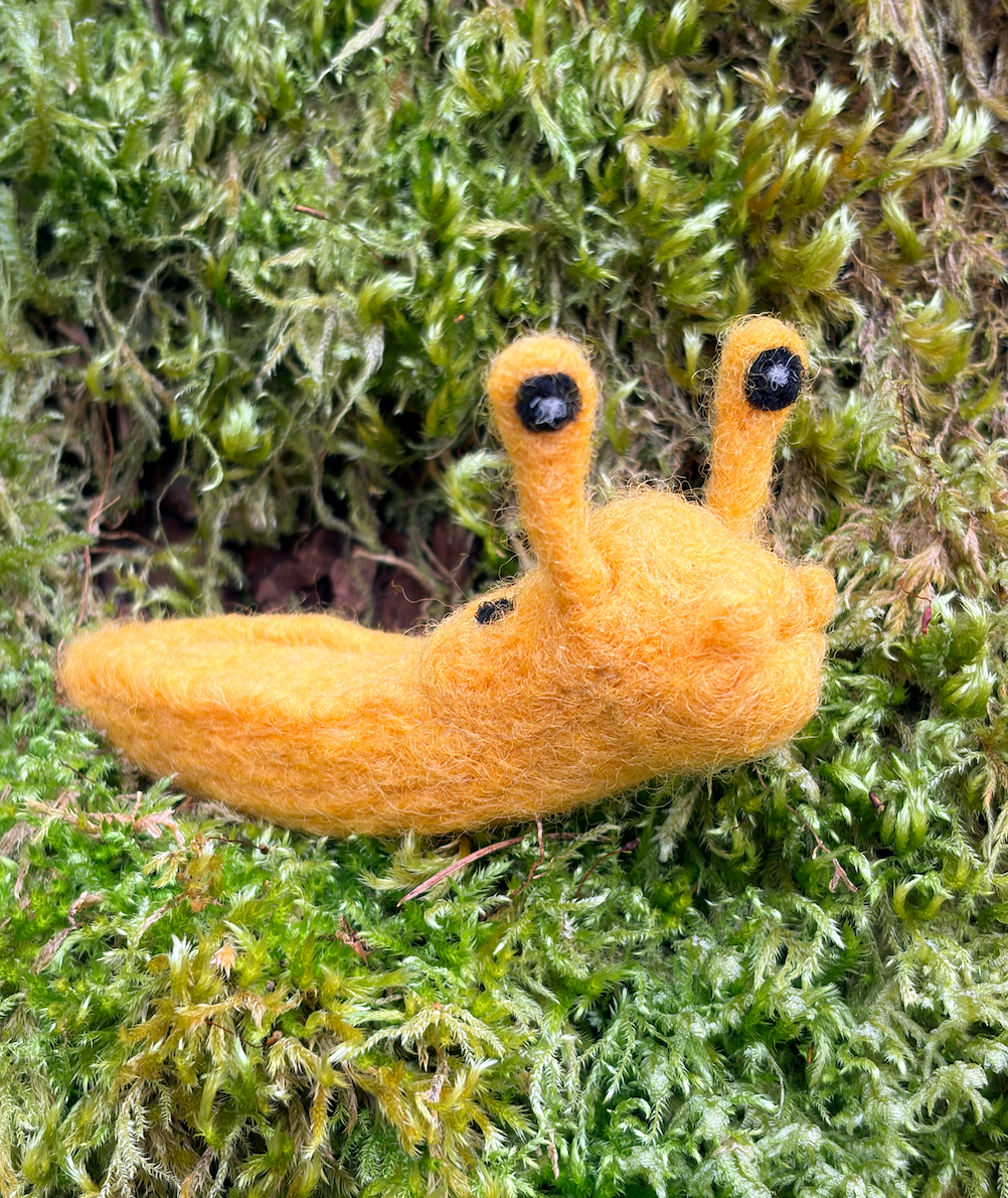 Slug, Banana Slug