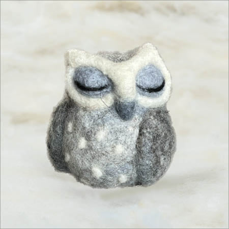 Owl, Sleepy