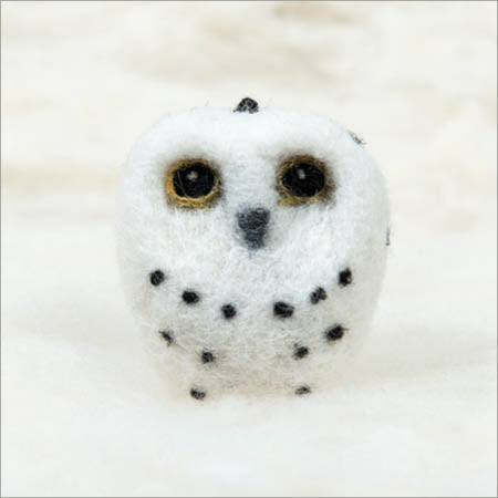 Owl, Snow