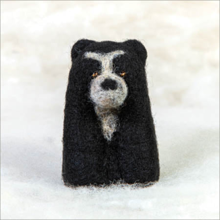 Spectacled Bear