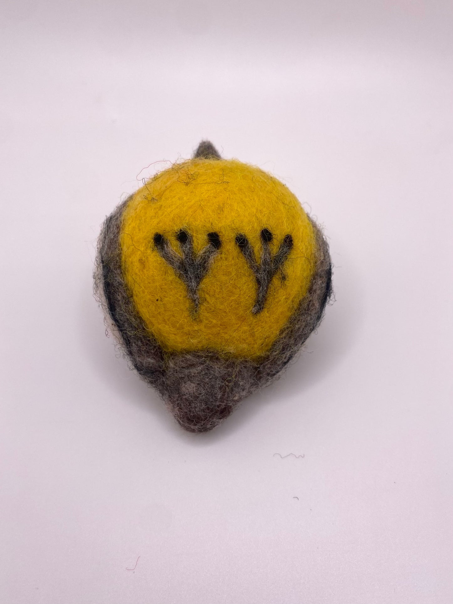 Peruvian Tumbes Tyrant