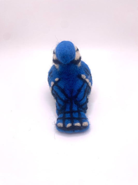 Blue Jay B