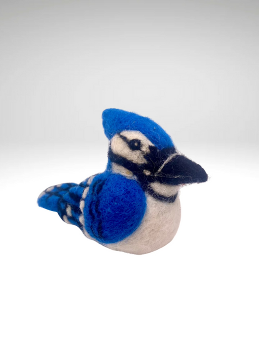 Blue Jay B