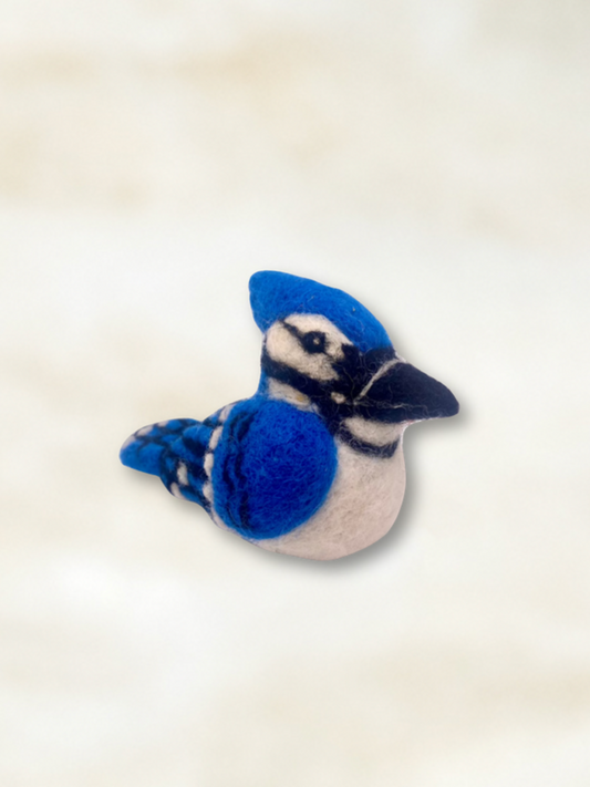 Blue Jay B
