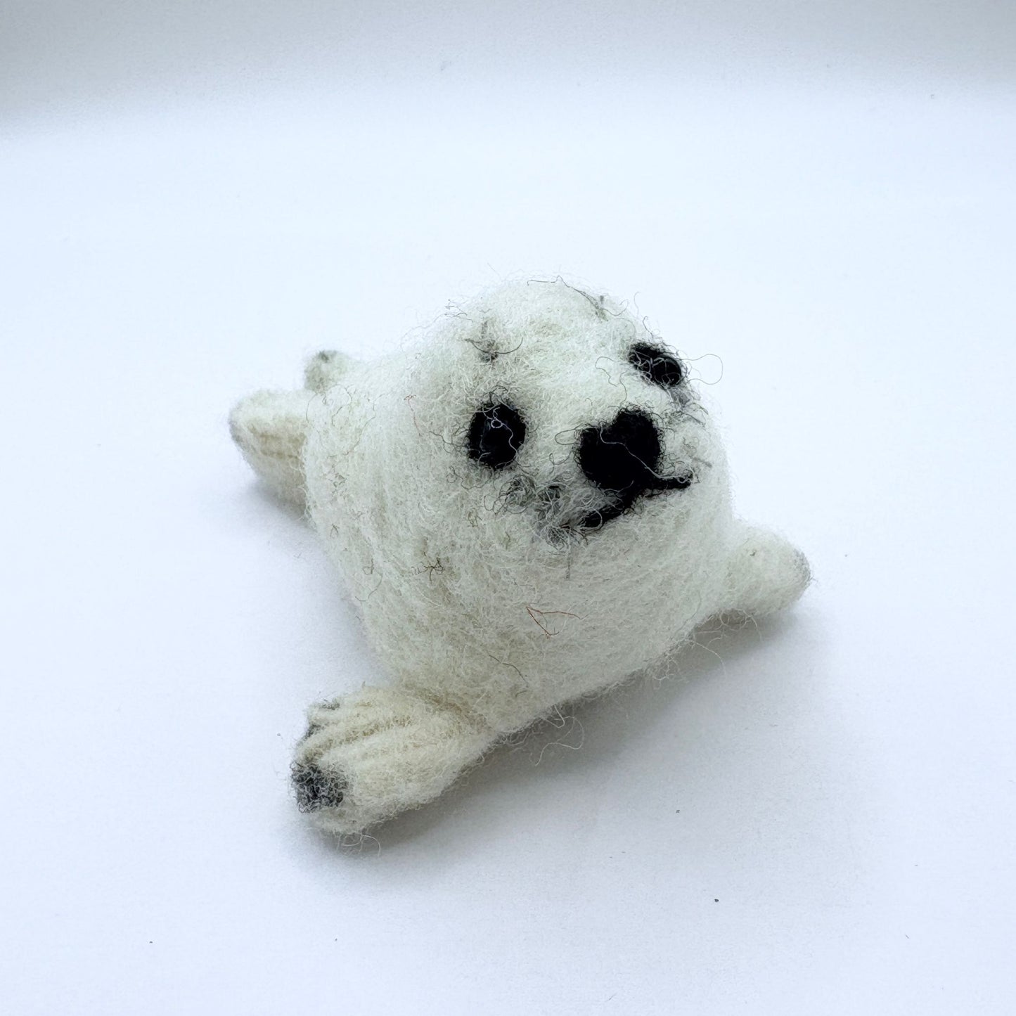 Seal Pup