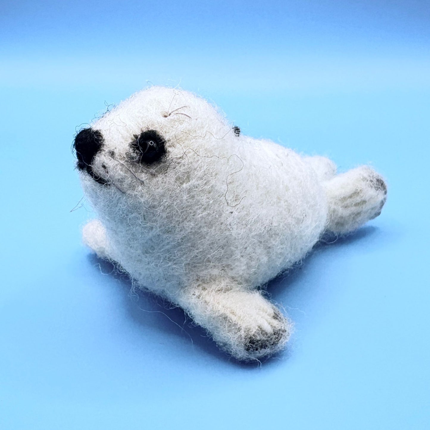 Seal Pup