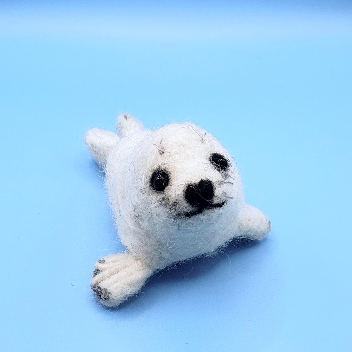 Seal Pup
