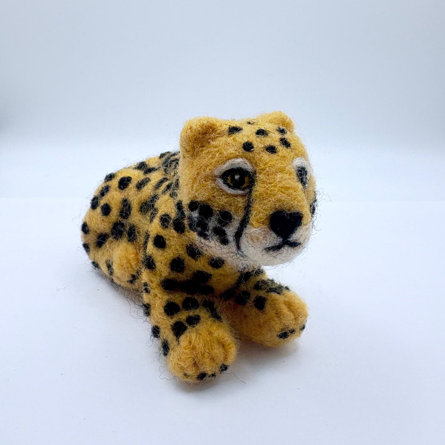 Cheetah