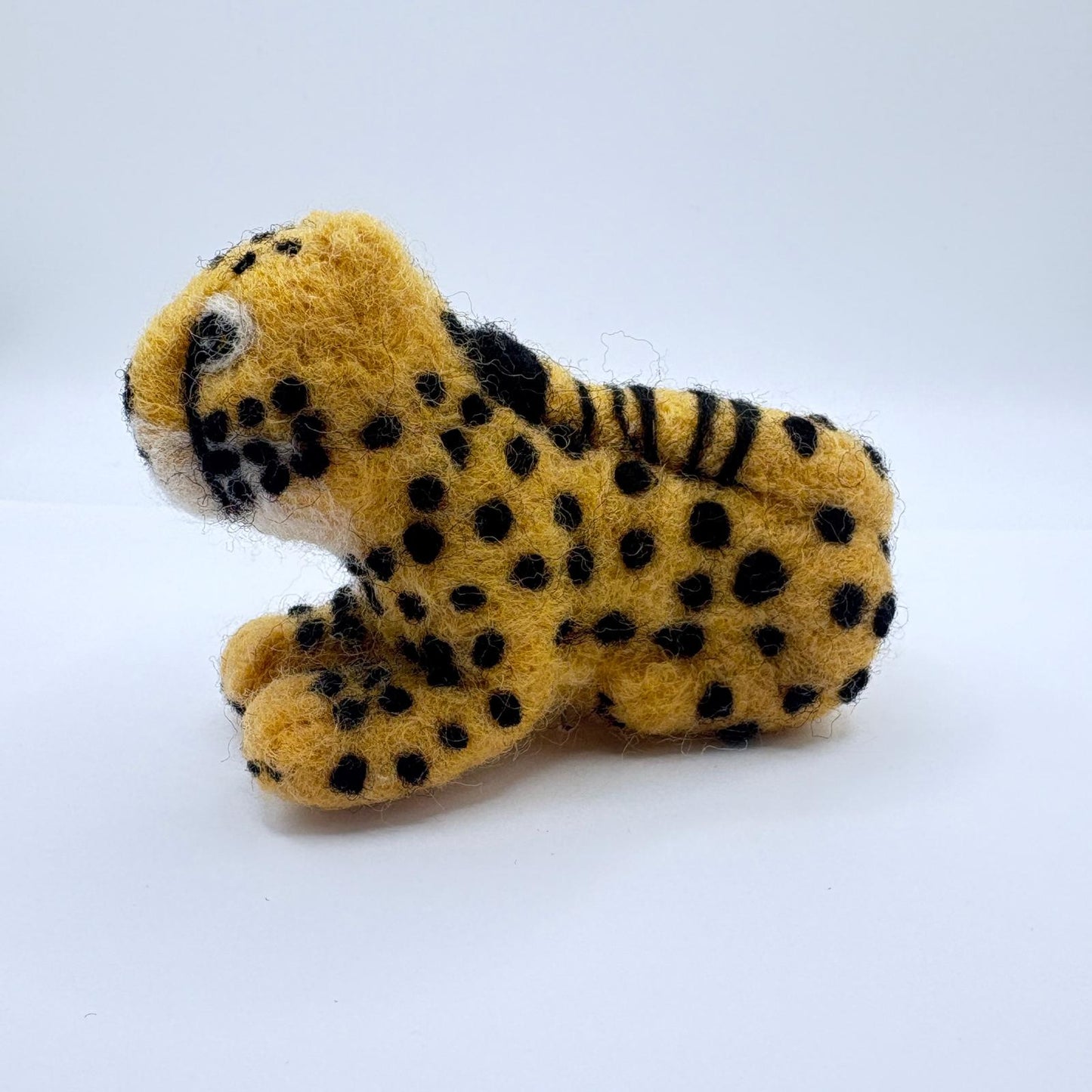 Cheetah