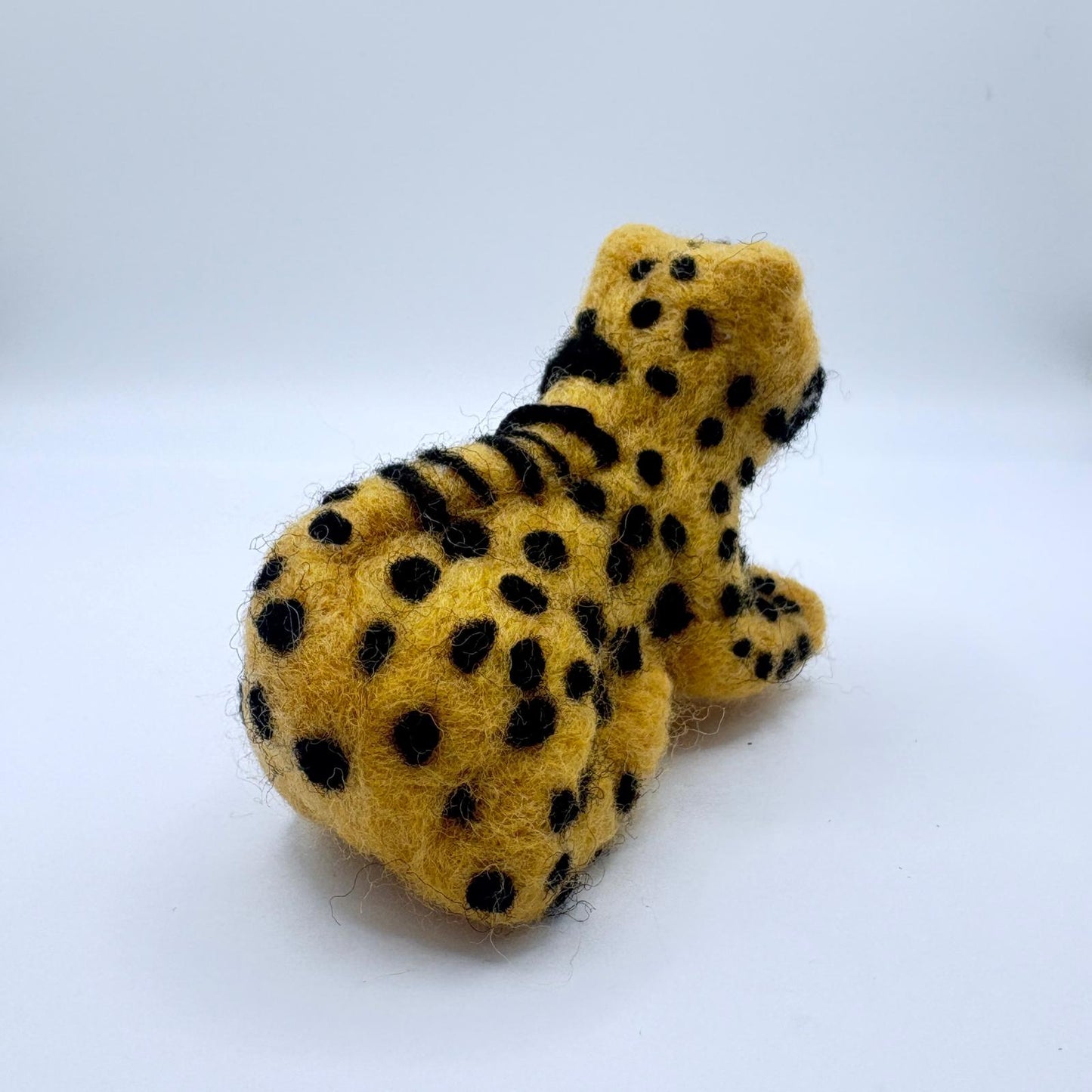 Cheetah