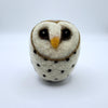 Owl, Barn