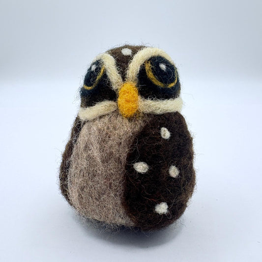 Owl, Curious