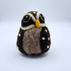 Owl, Curious