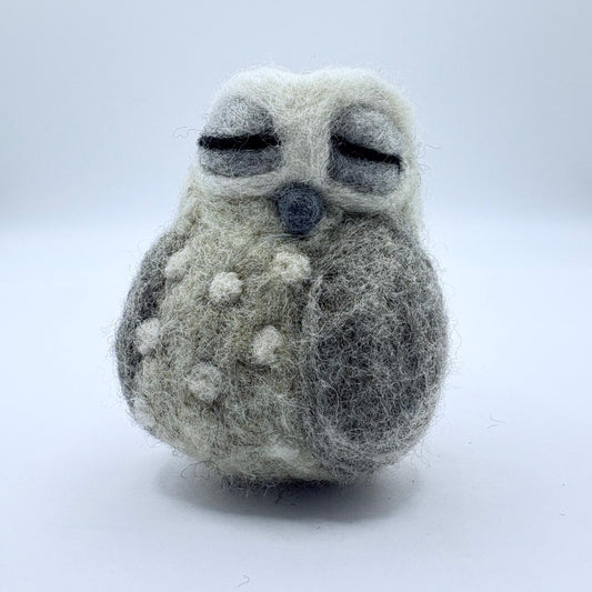 Owl, Sleepy