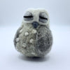 Owl, Sleepy