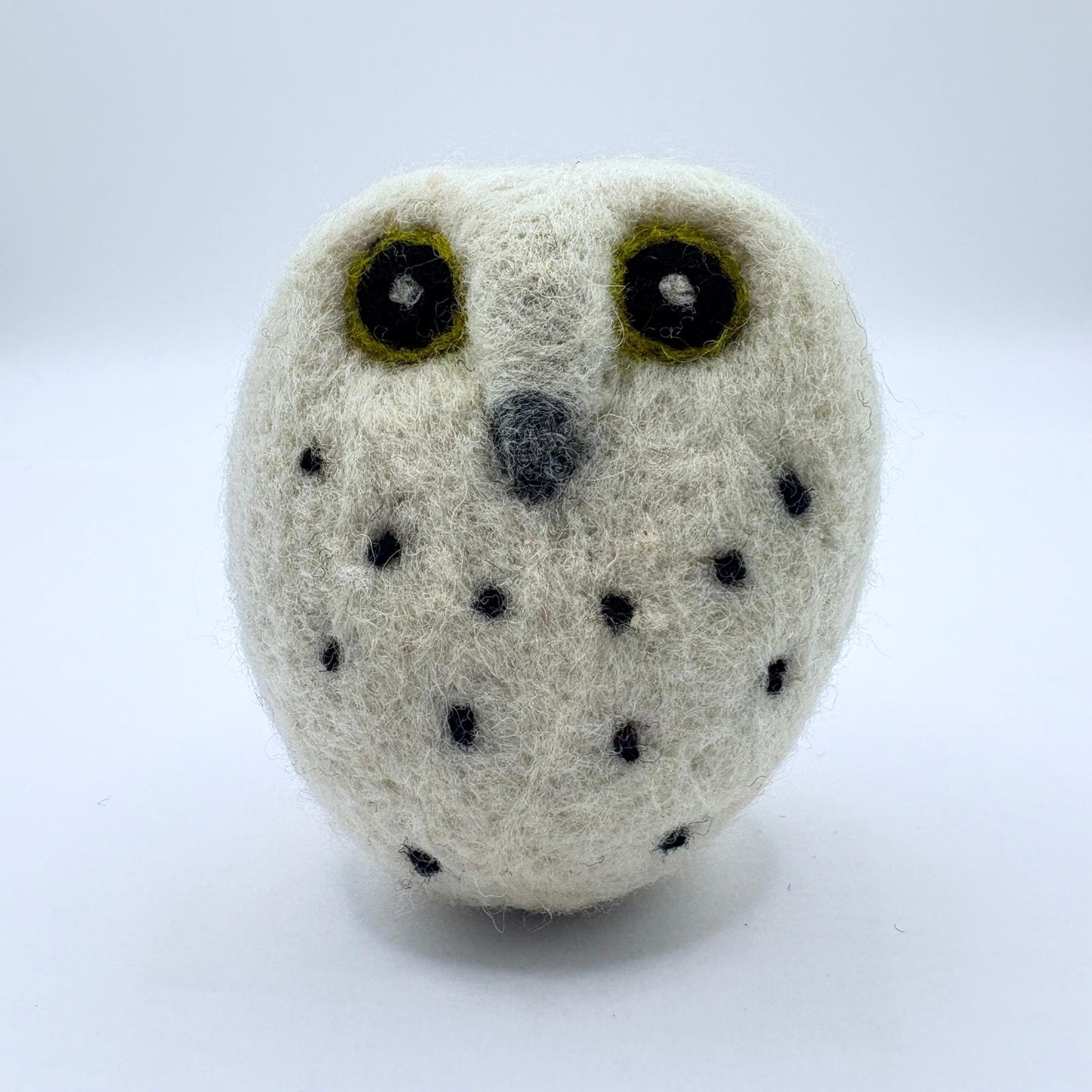 Owl, Snow