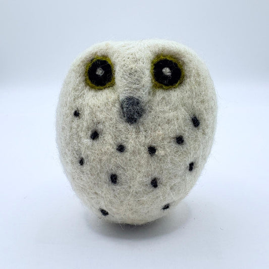 Owl, Snow