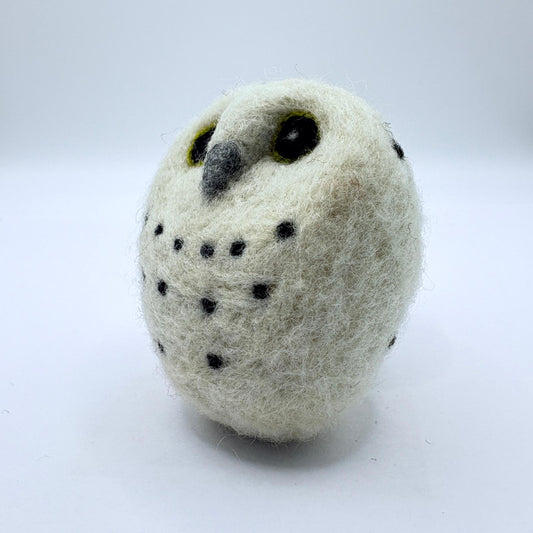 Owl, Snow