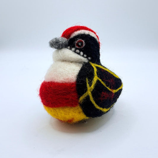 Peruvian Red Banded Barbet