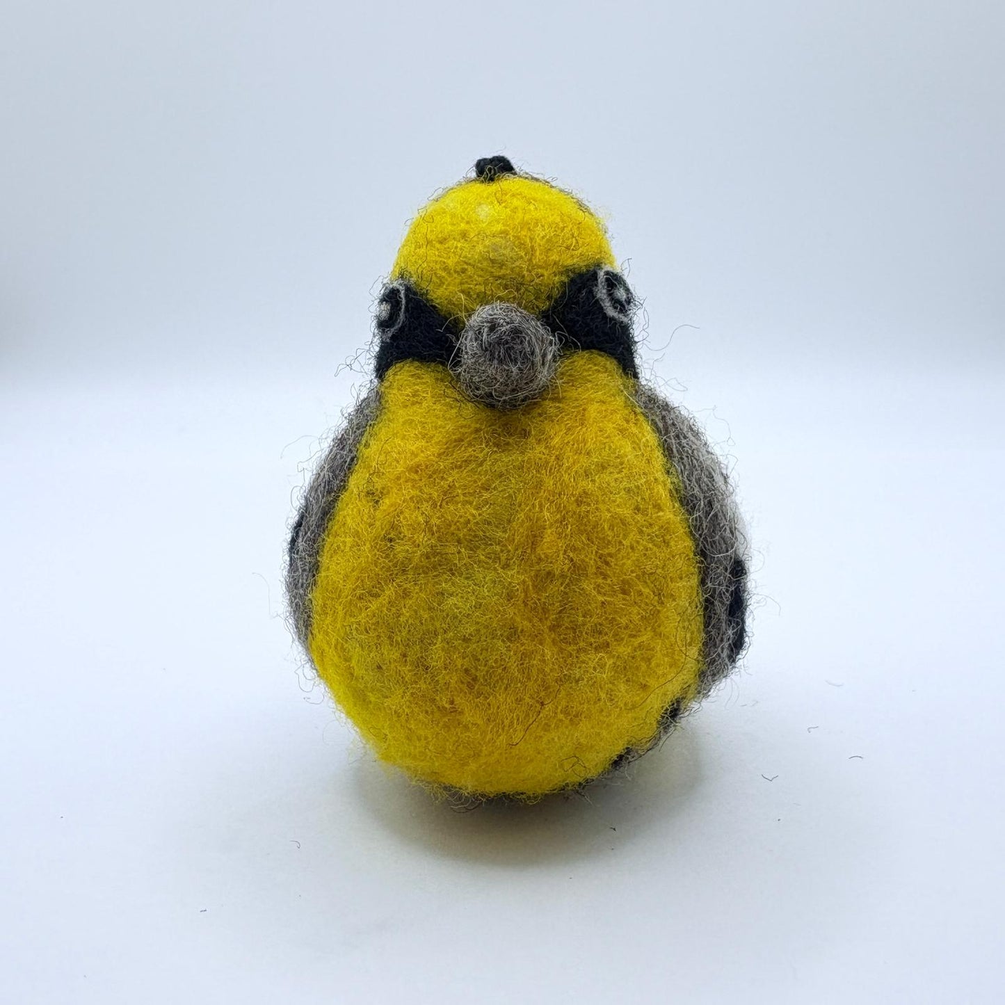 Peruvian Tumbes Tyrant