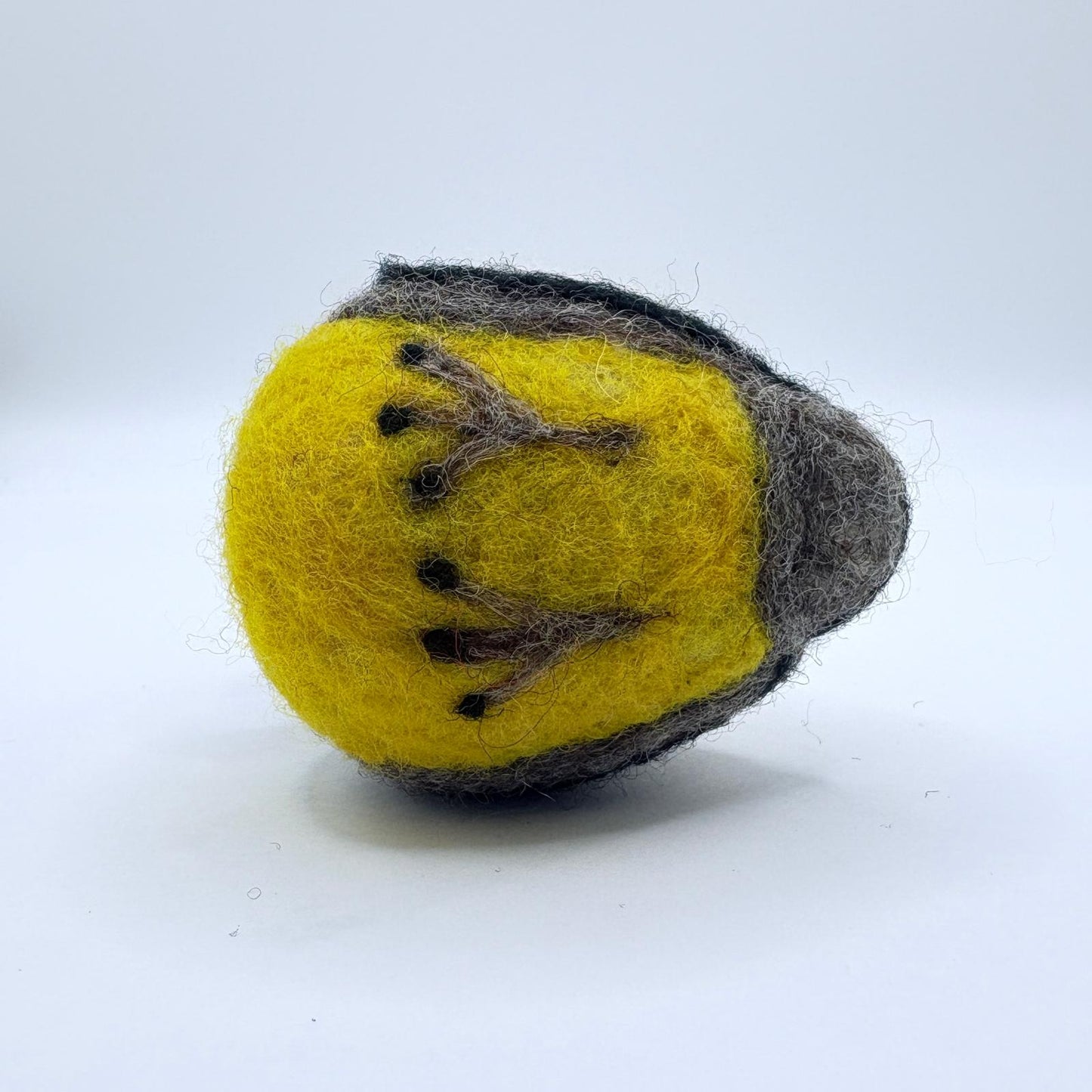 Peruvian Tumbes Tyrant