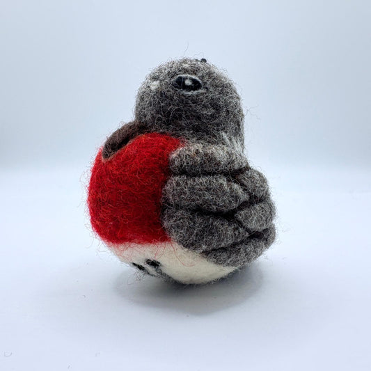 Robin Bird