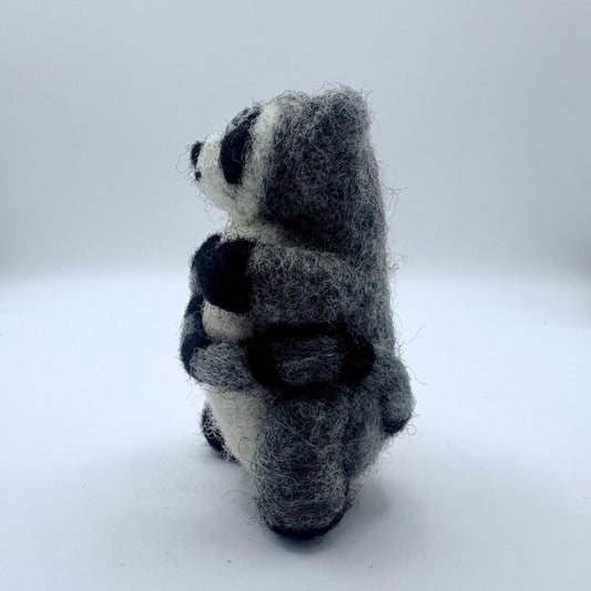 Raccoon