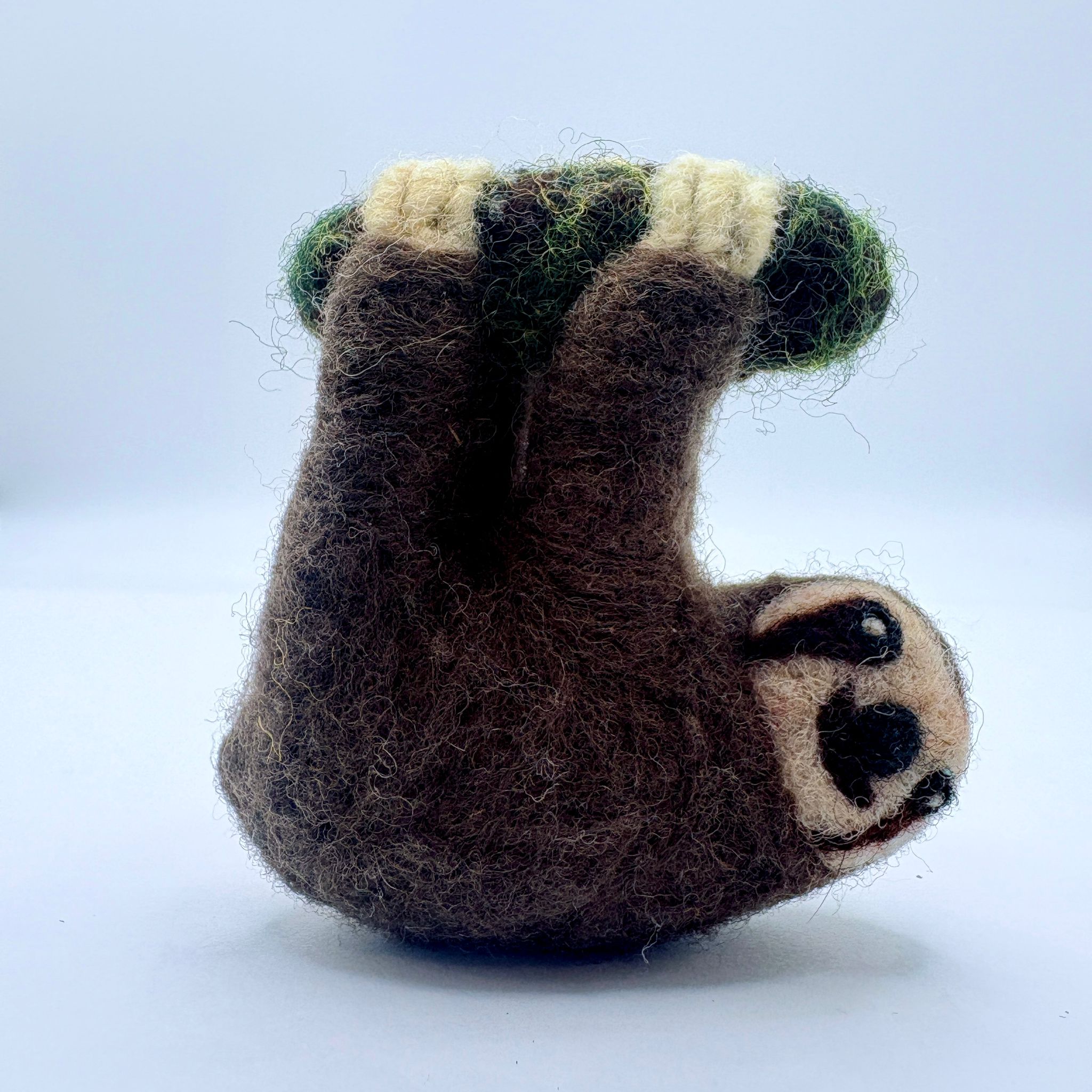Spectacled Sloth Sloth – Spectacled Bear Conservation