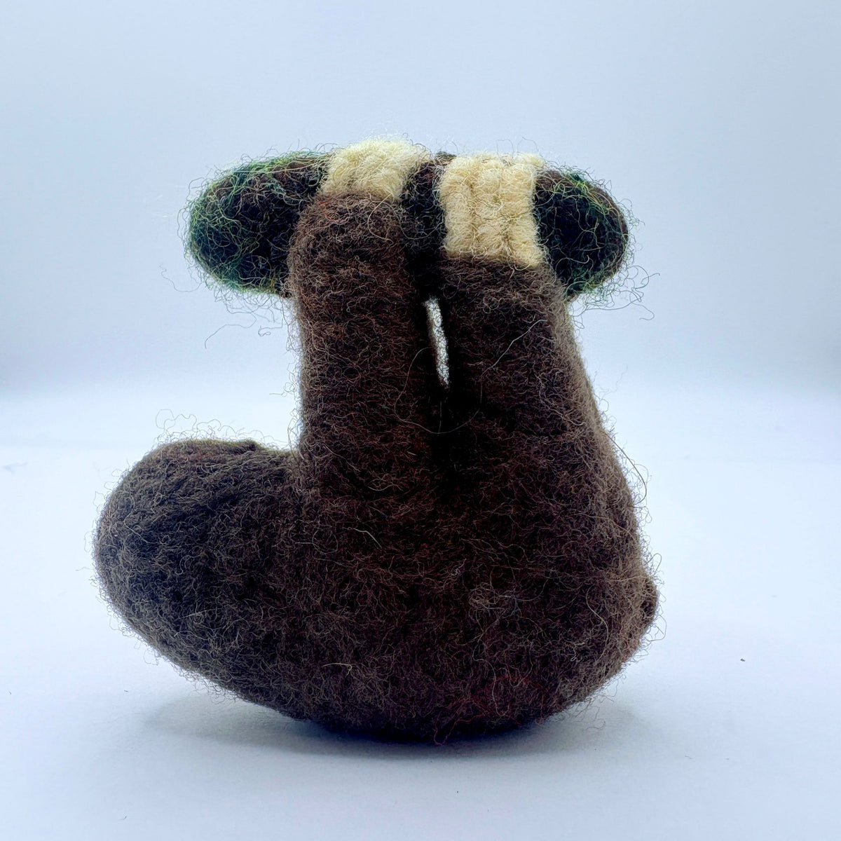 Spectacled Sloth Sloth – Spectacled Bear Conservation