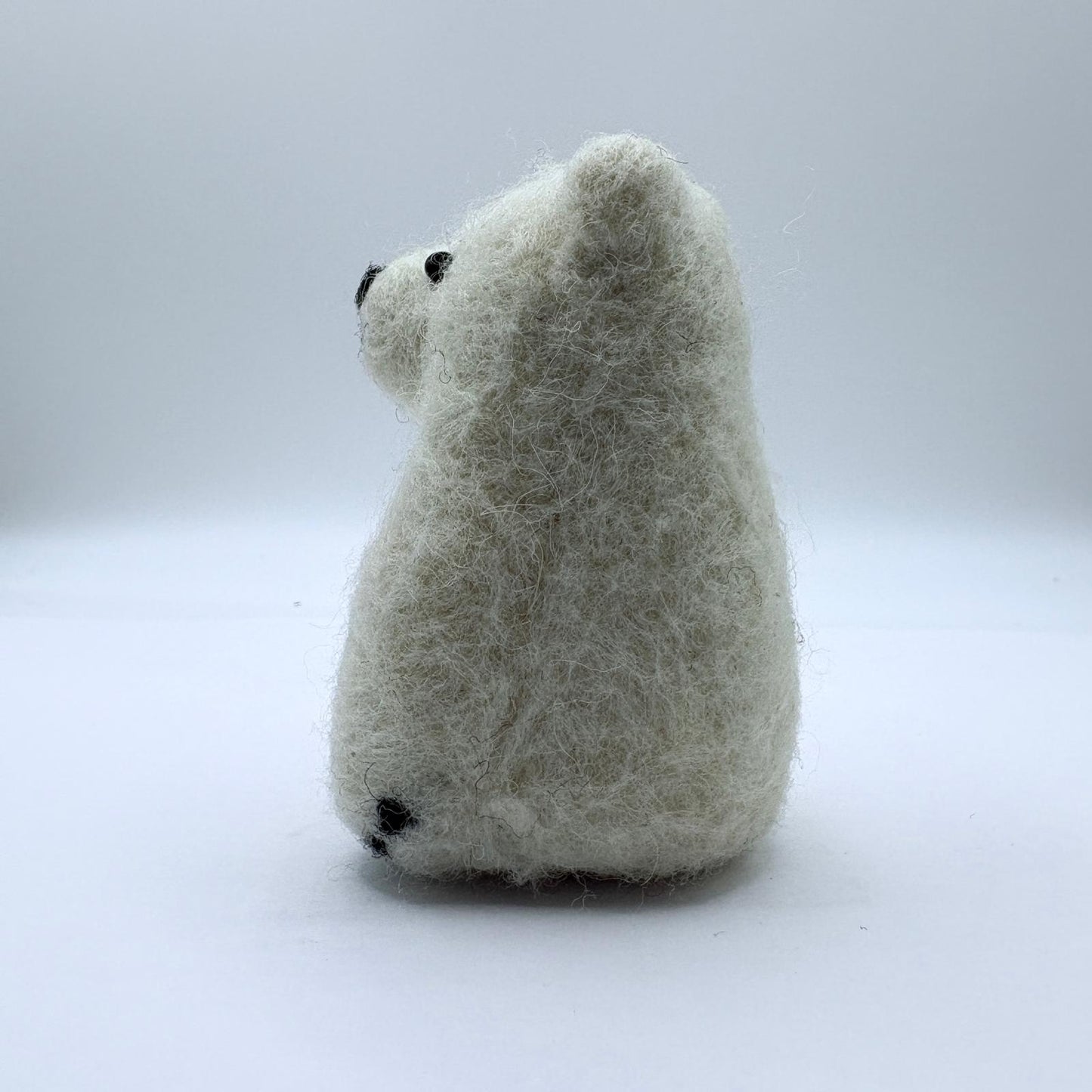 Polar Bear
