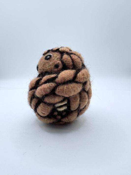 Pangolin
