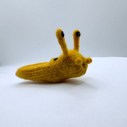 Slug, Banana Slug