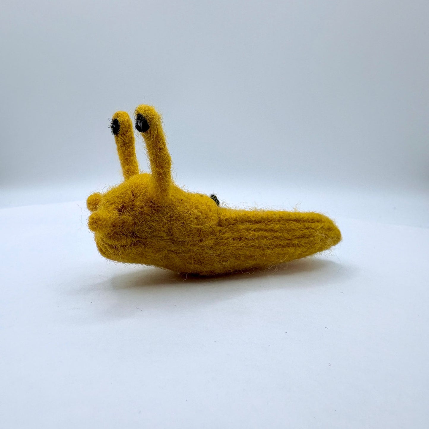 Slug, Banana Slug