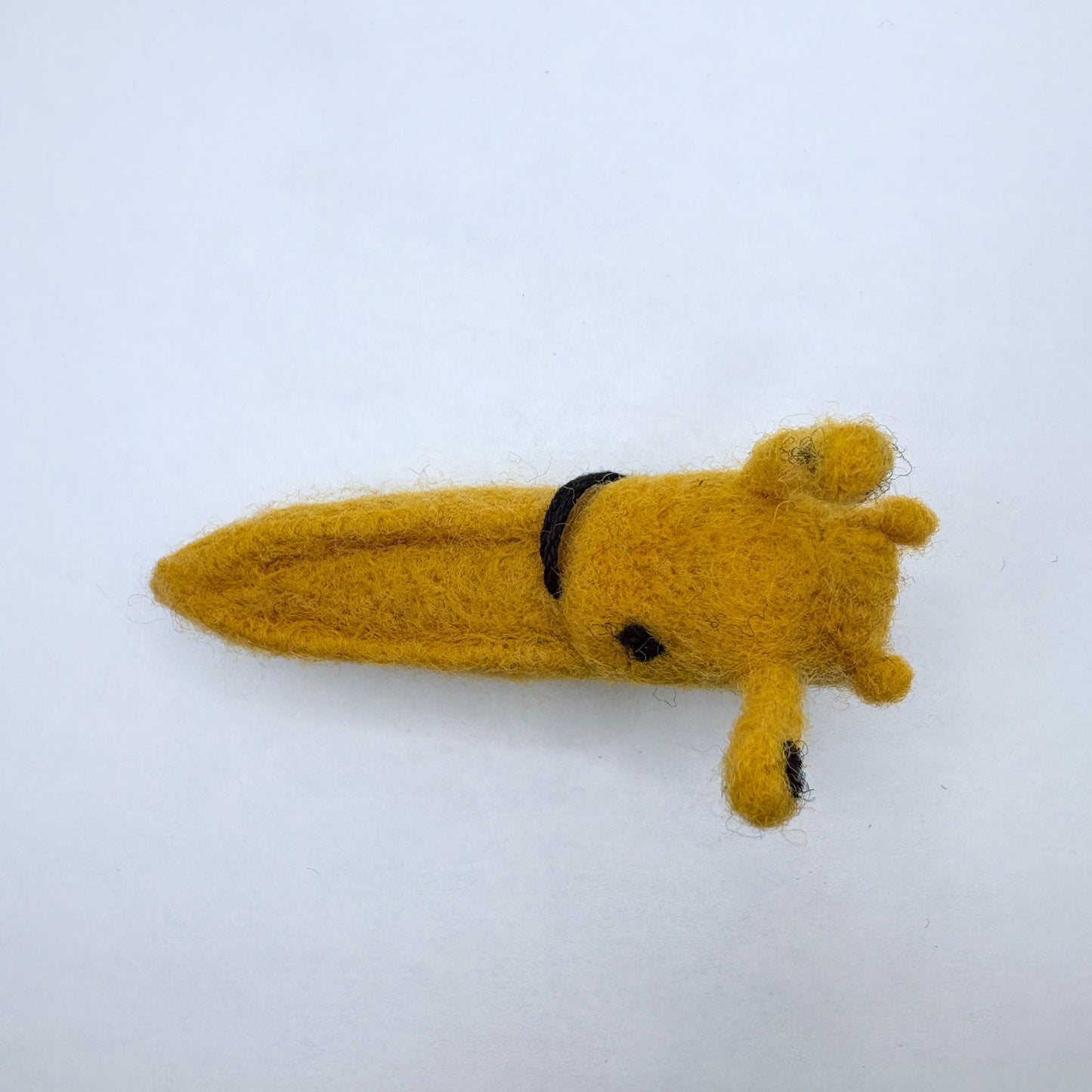 Slug, Banana Slug