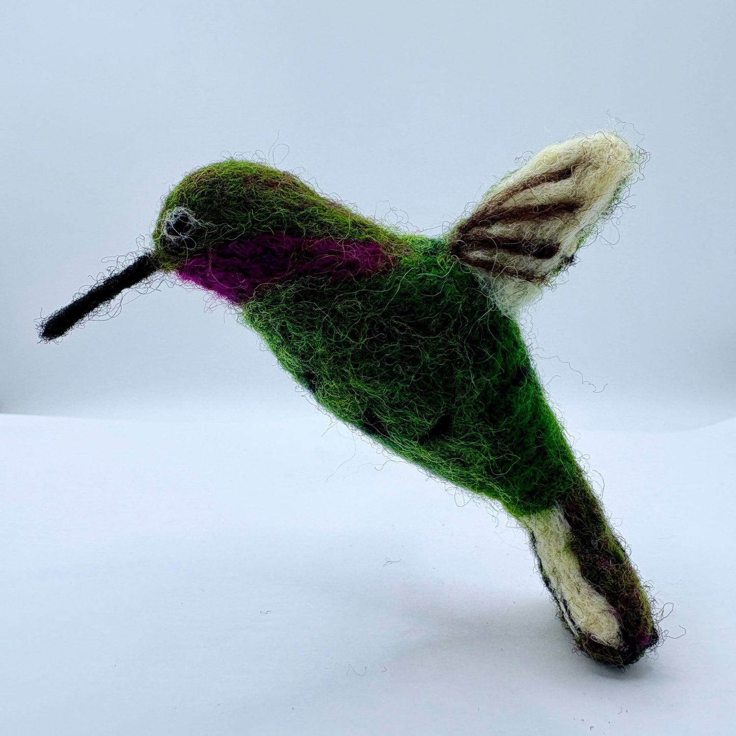 Hummingbird, Anna's