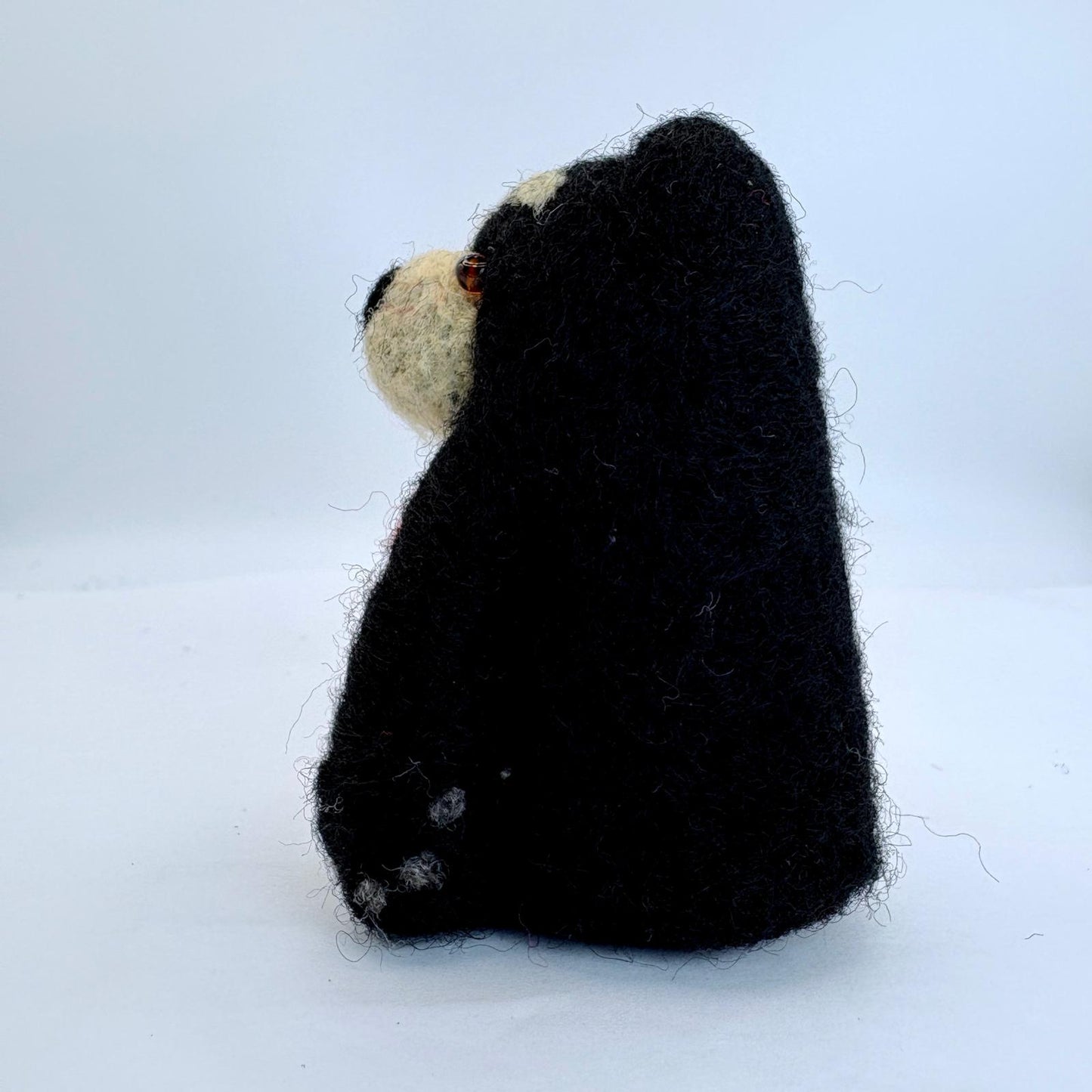 Spectacled Bear with Heart