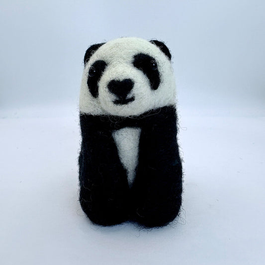Panda Bear